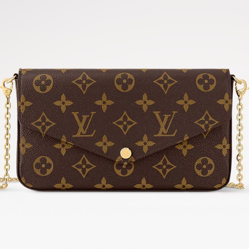 Louis Vuitton Félicie Pochette in Brown and Gold